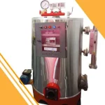 دیگ بخار استخر و سونا استاندارد